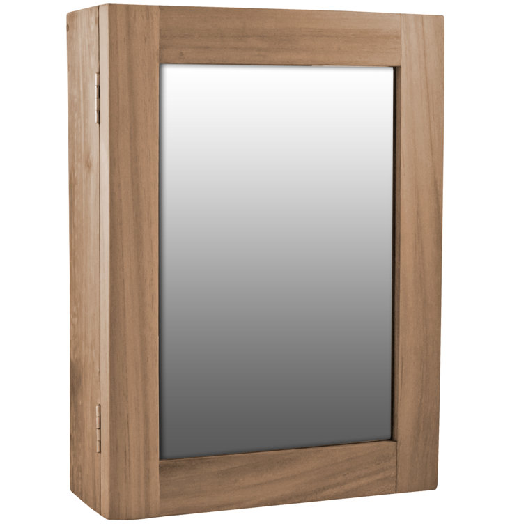 Highland Dunes Bucareli Surface Mount Framed 1 Door Medicine